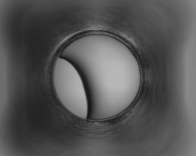 X0000097491311200802220832