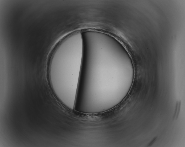 X0000097491312200802220832