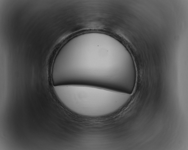 X0000097491315200802220832