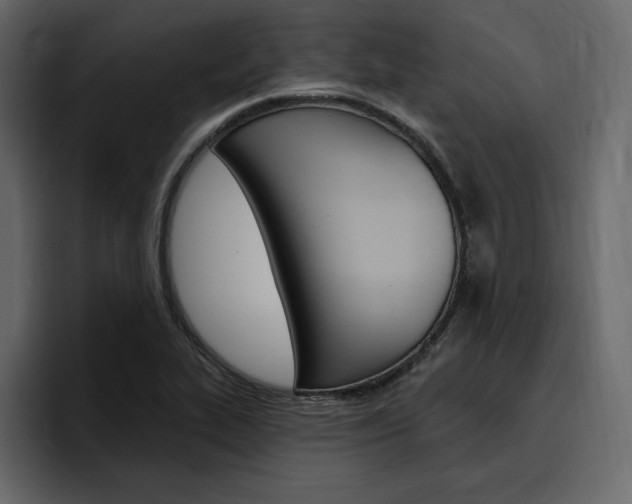 X0000097491319200802220833