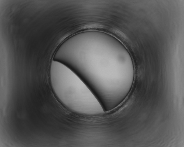 X0000097491321200802220833