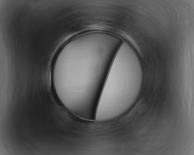 X0000097491323200802220833