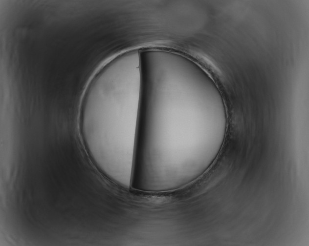 X0000097491324200802220833