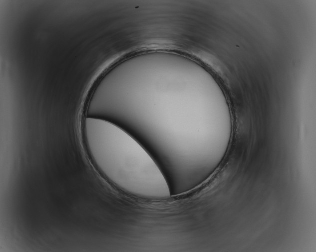 X0000097491325200802220833