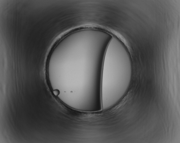 X0000097491327200802220833
