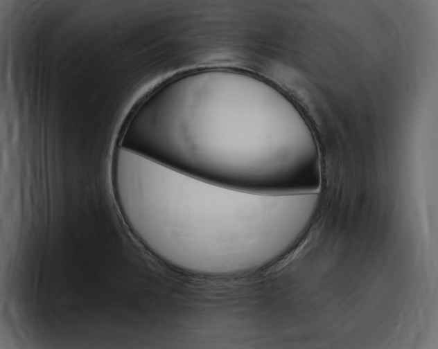 X0000097491328200802220833