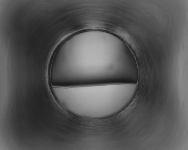 X0000097491331200802220833