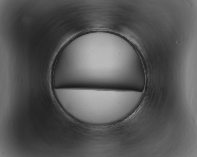 X0000097491333200802220833
