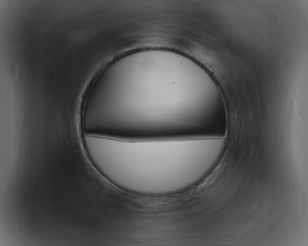 X0000097491334200802220833
