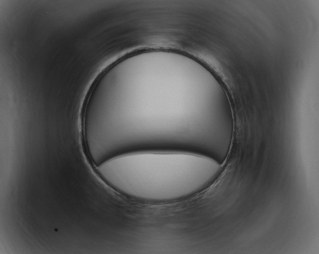 X0000097491335200802220833