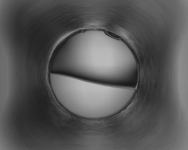 X0000097491336200802220833