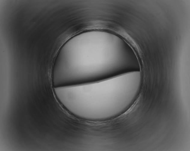 X0000097491337200802220833