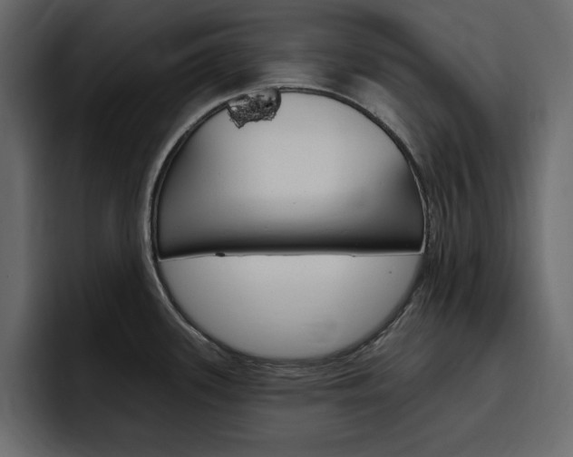 X0000097491339200802220833