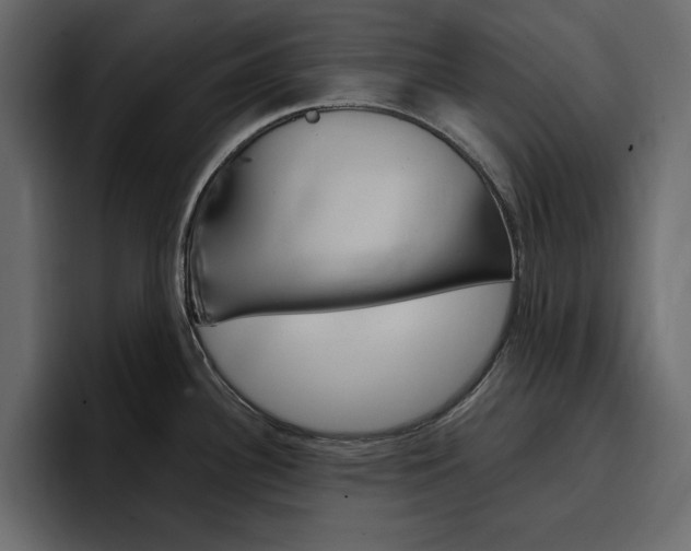 X0000097491340200802220833