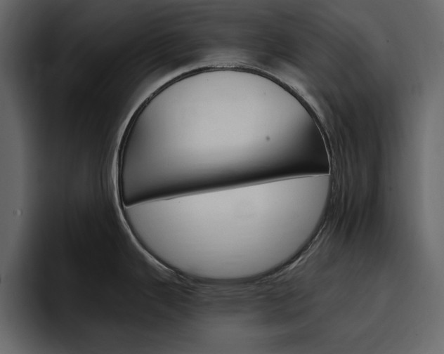 X0000097491343200802220833