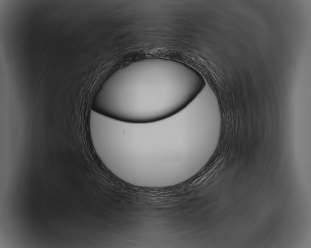 X0000097491345200802220832