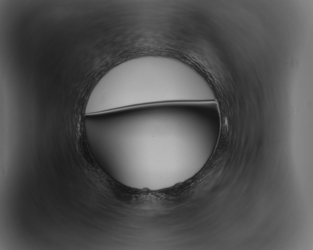 X0000097491348200802220832