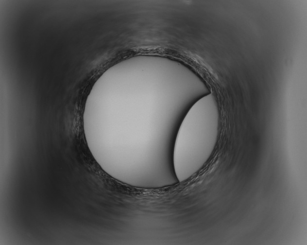 X0000097491350200802220832