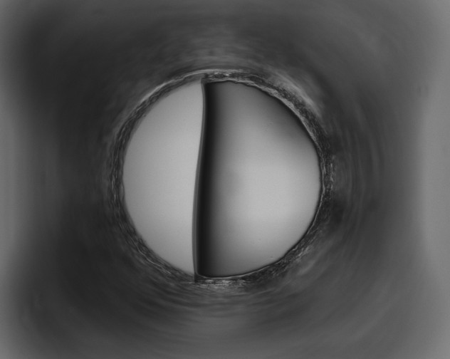X0000097491352200802220832