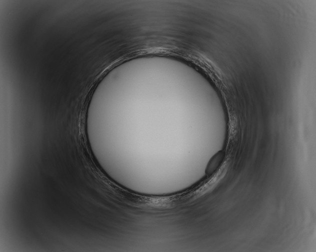 X0000097491353200802220832