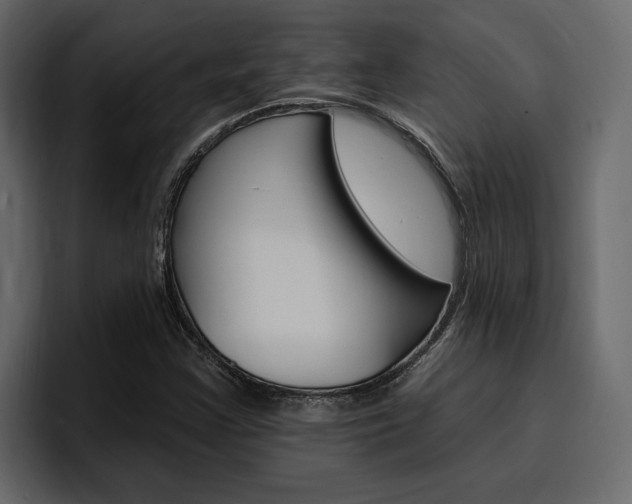 X0000097491355200802220832