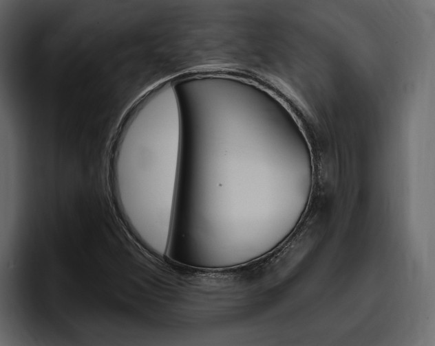 X0000097491356200802220832