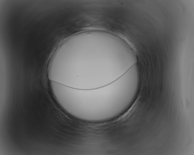 X0000097491357200802220832