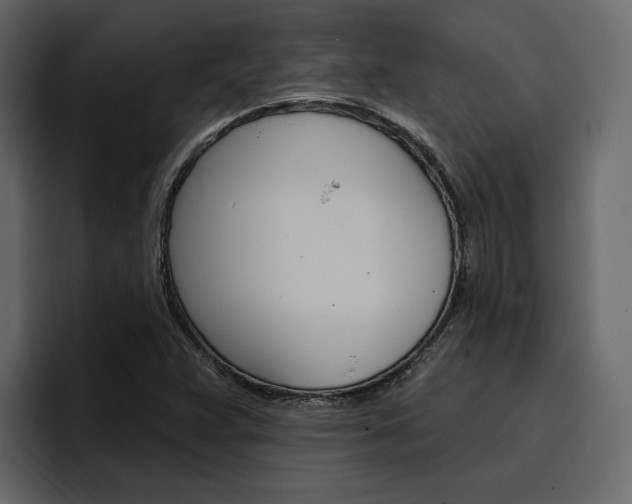 X0000097491359200802220832