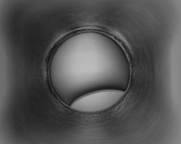 X0000097491360200802220832
