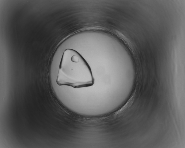 X0000097491361200802220832