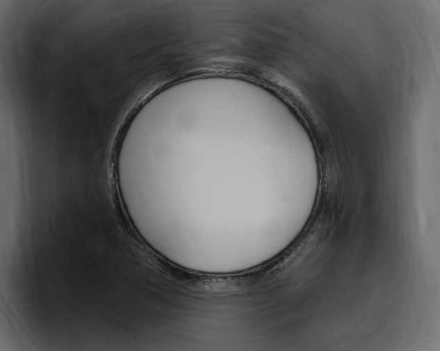 X0000097491362200802220832