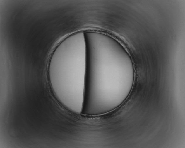 X0000097491363200802220832