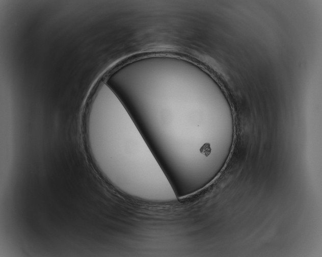 X0000097491364200802220832