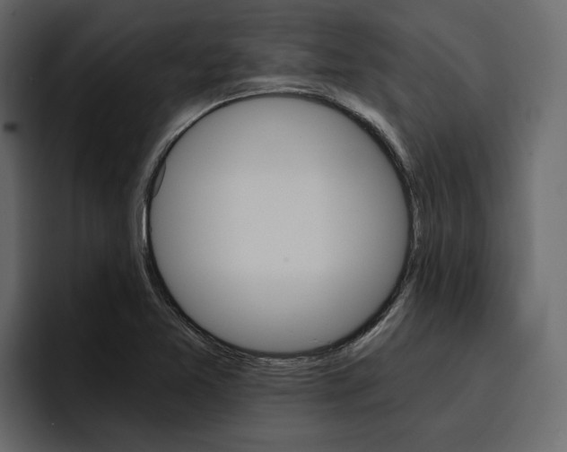 X0000097491365200802220832