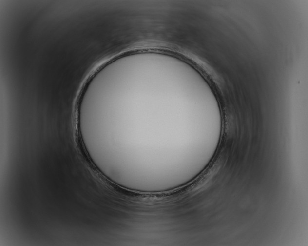 X0000097491366200802220832