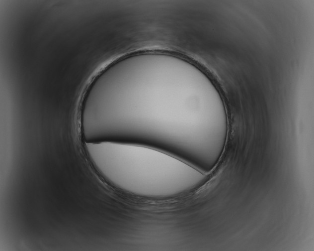X0000097491367200802220832