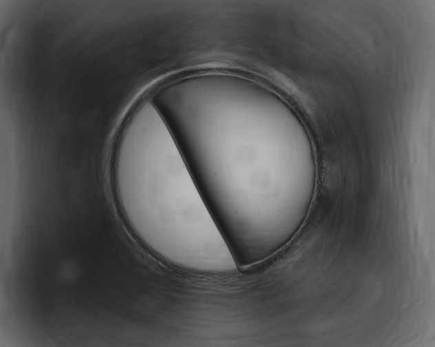 X0000097491368200802220832