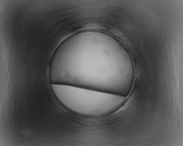 X0000097491369200802220832