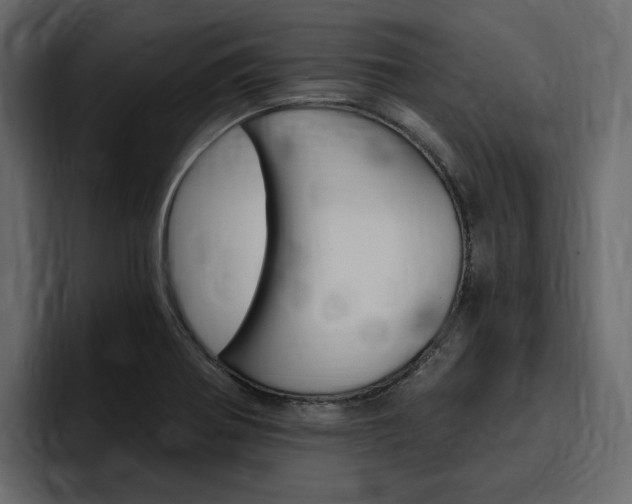 X0000097491370200802220832
