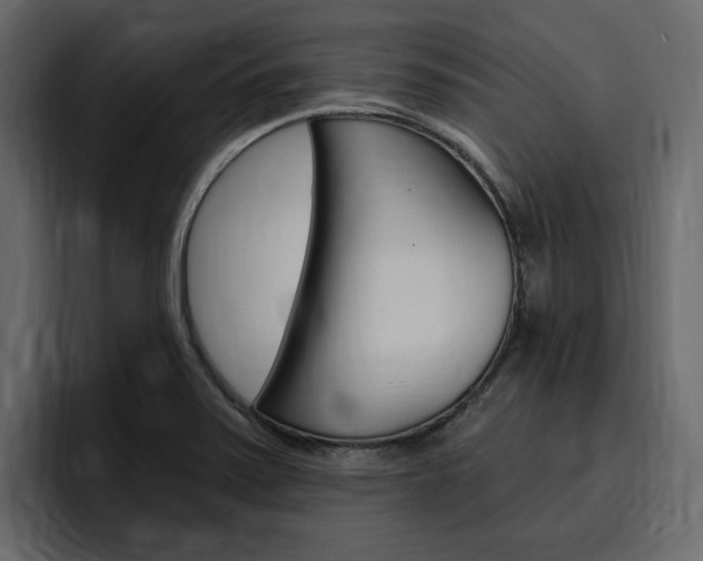 X0000097491371200802220832