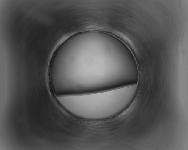 X0000097491373200802220832