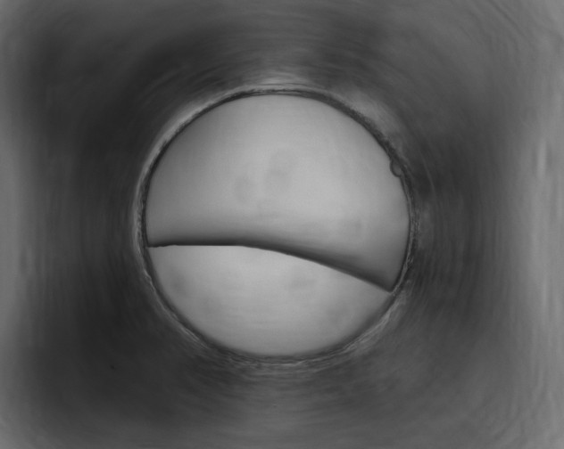 X0000097491374200802220832