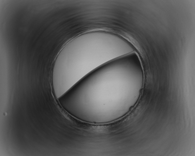 X0000097491377200802220832