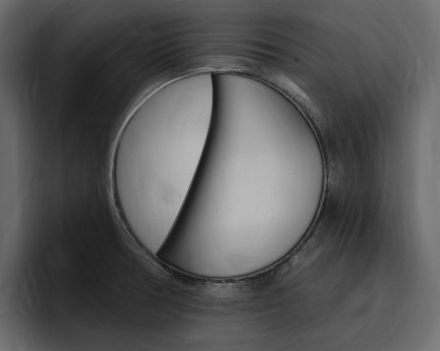 X0000097491378200802220832