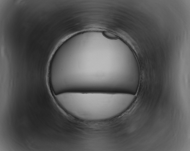 X0000097491379200802220832