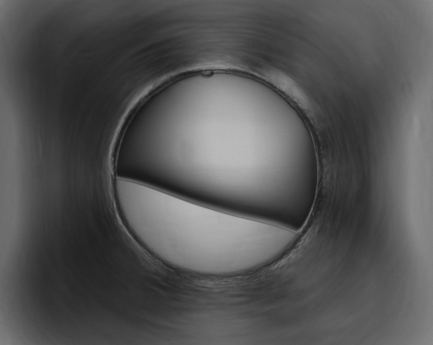 X0000097491380200802220832