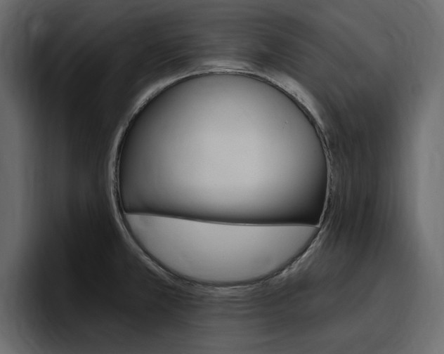 X0000097491381200802220832