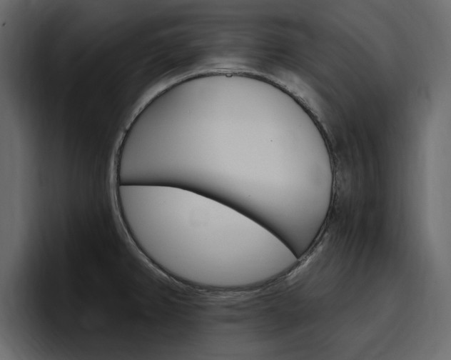 X0000097491382200802220832
