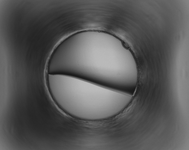 X0000097491383200802220832