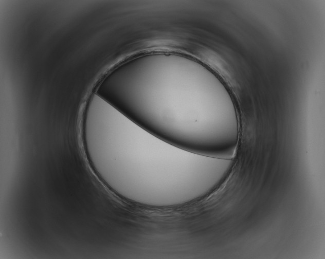 X0000097491384200802220832